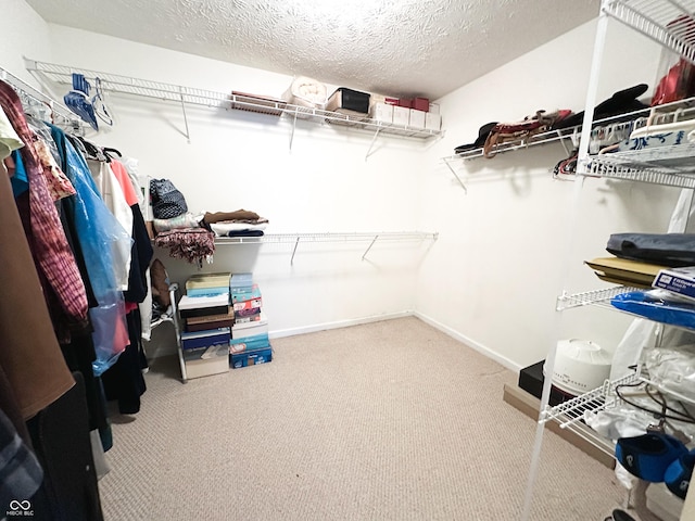 spacious closet with carpet