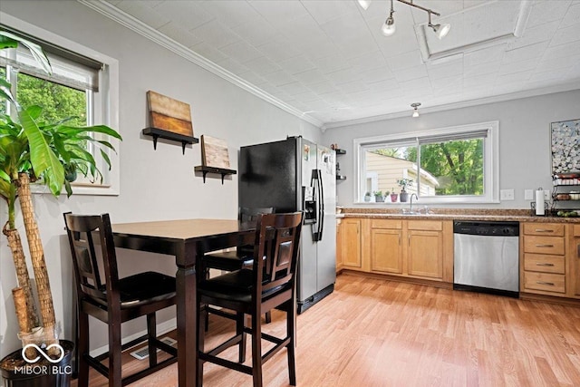 kitchen featuring ornamental molding, a healthy amount of sunlight, light brown cabinets, and stainless steel appliances