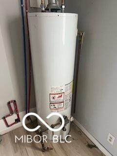 1710 S Birch St, Muncie, IN 47302 - utility room with gas water heater