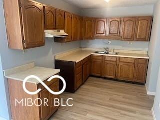 1710 S Birch St, Muncie, IN 47302 - kitchen featuring under cabinet range hood, light countertops, light wood-type flooring, and a sink