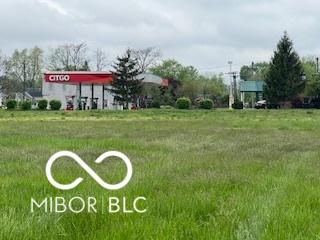 1710 S Birch St, Muncie, IN 47302 - view of yard