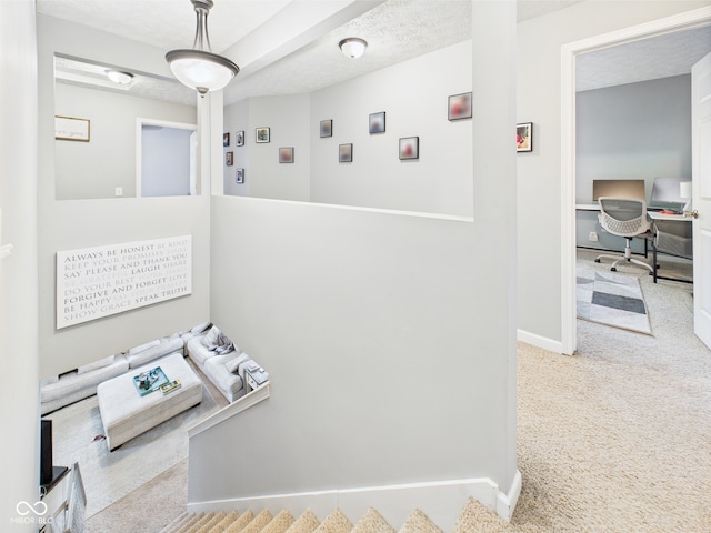interior space featuring baseboards and carpet