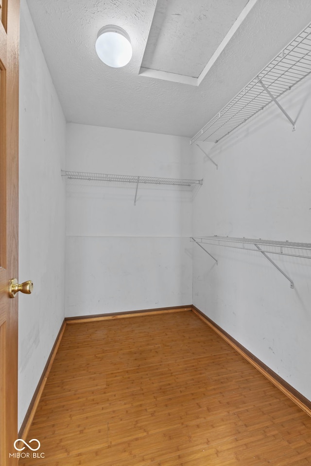 spacious closet featuring light wood finished floors
