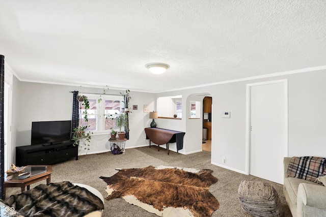 living area featuring arched walkways, a textured ceiling, ornamental molding, and carpet