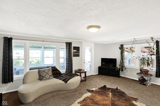 living area with baseboards, carpet flooring, a textured ceiling, and crown molding
