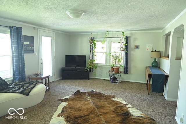 living area featuring plenty of natural light, ornamental molding, and carpet