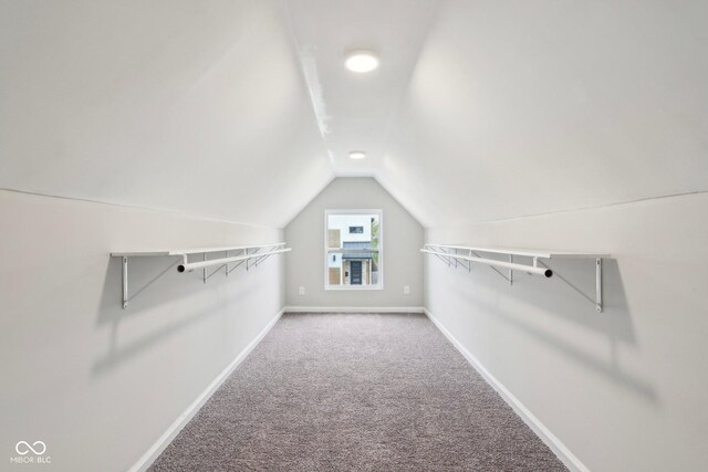 202 Mckim Ave, Indianapolis, IN 46201 - spacious closet featuring lofted ceiling and carpet