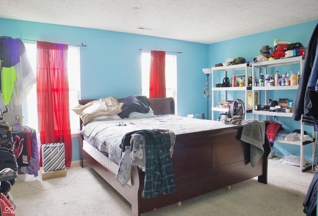 1831 Brook Crossing Way, Indianapolis, IN 46229 - bedroom featuring carpet floors, a textured ceiling, and multiple windows