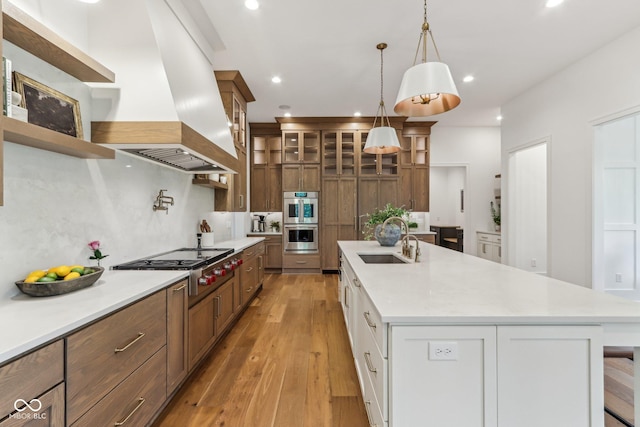 11064 Hamilton Run, Zionsville, IN 46077 - kitchen with a sink, appliances with stainless steel finishes, premium range hood, tasteful backsplash, and recessed lighting