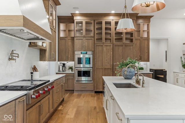 11064 Hamilton Run, Zionsville, IN 46077 - kitchen featuring custom exhaust hood, a sink, stainless steel appliances, light countertops, and a center island with sink