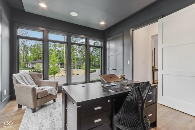 11064 Hamilton Run, Zionsville, IN 46077 - home office featuring light wood finished floors and recessed lighting