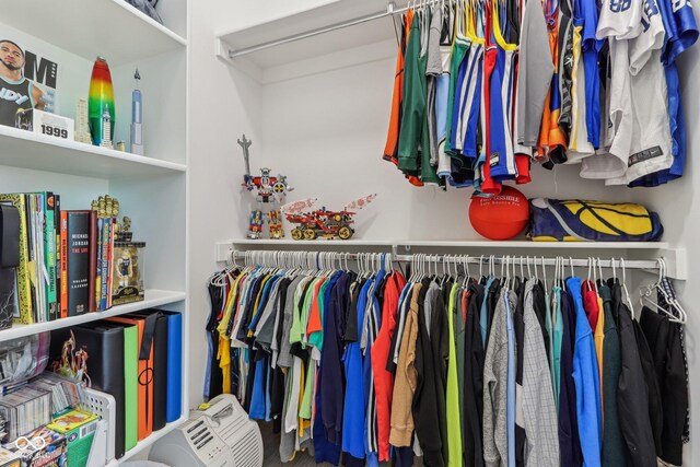 11064 Hamilton Run, Zionsville, IN 46077 - view of walk in closet