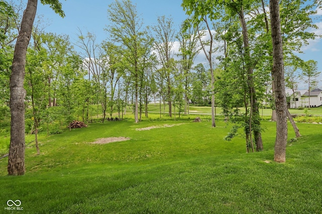 11064 Hamilton Run, Zionsville, IN 46077 - view of grassy yard
