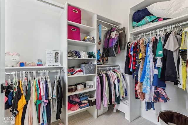 11064 Hamilton Run, Zionsville, IN 46077 - spacious closet with carpet