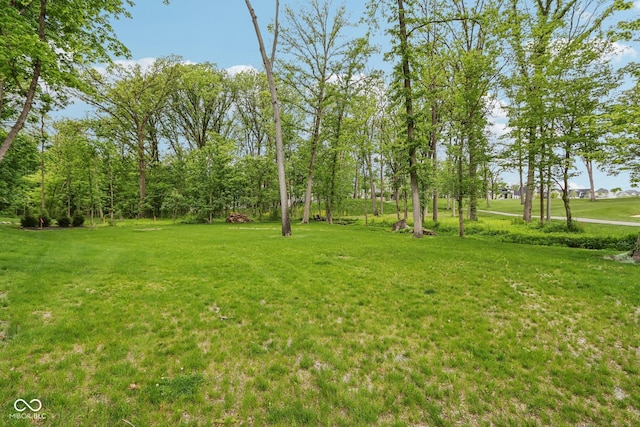 11064 Hamilton Run, Zionsville, IN 46077 - view of grassy yard
