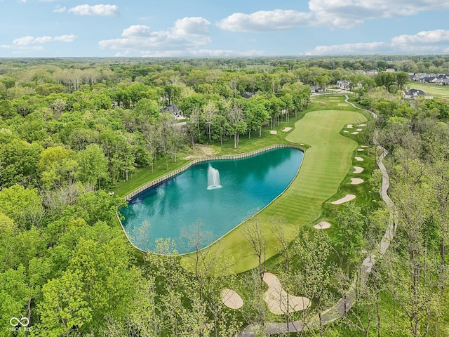 11064 Hamilton Run, Zionsville, IN 46077 - bird's eye view of a nearby body of water, a local golf course, and a heavily wooded area