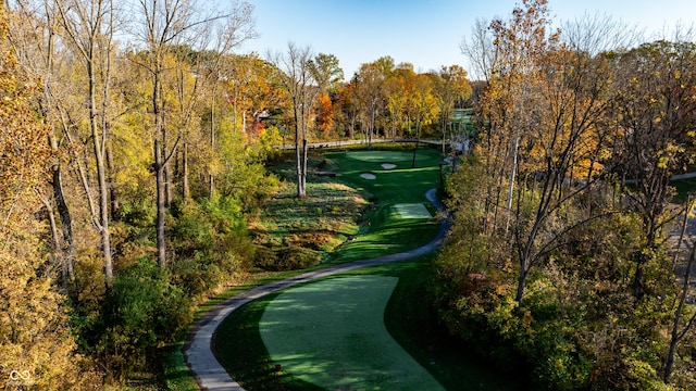 11064 Hamilton Run, Zionsville, IN 46077 - surrounding community featuring a putting green and view of golf course
