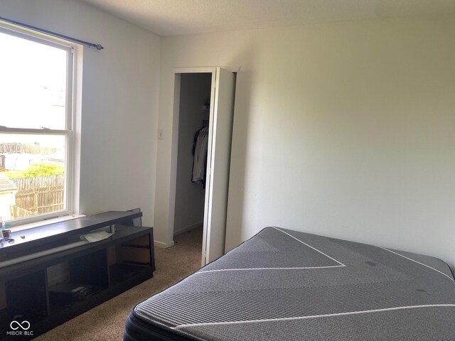 2350 Harvest Moon Dr, Greenwood, IN 46143 - carpeted bedroom with multiple windows