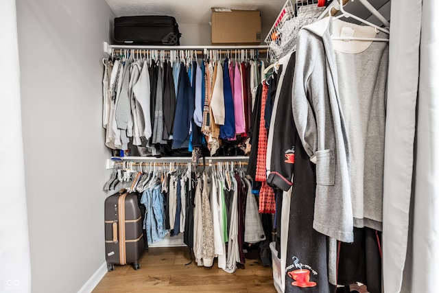 2823 Somerset Bay, Indianapolis, IN 46240 - walk in closet with wood finished floors