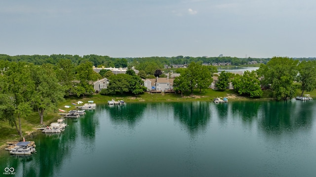 2823 Somerset Bay, Indianapolis, IN 46240 - water view with a boat dock