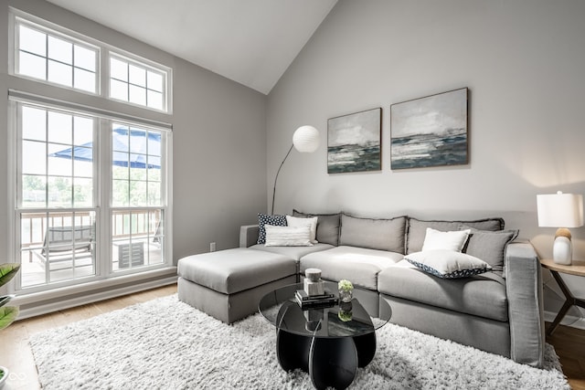 2823 Somerset Bay, Indianapolis, IN 46240 - living room featuring wood finished floors and high vaulted ceiling