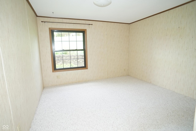 spare room with carpet floors and crown molding
