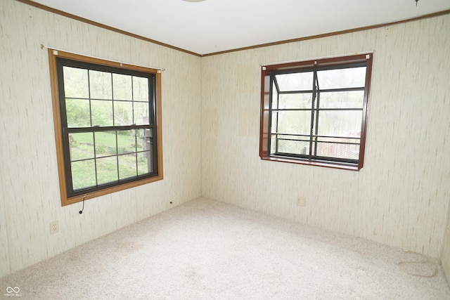 carpeted empty room with ornamental molding and a healthy amount of sunlight