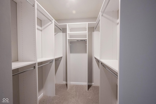 2628 Lamar Dr, Whitestown, IN 46075 - walk in closet featuring carpet