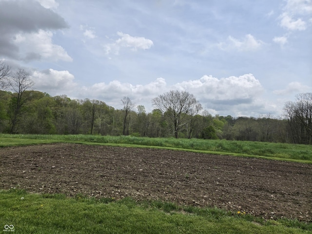 view of woods