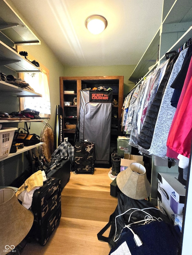 walk in closet featuring wood finished floors