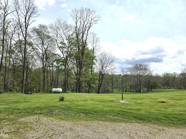 view of green lawn with a wooded view