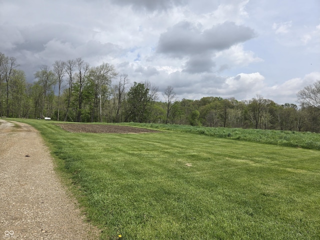 view of grassy yard featuring a wooded view