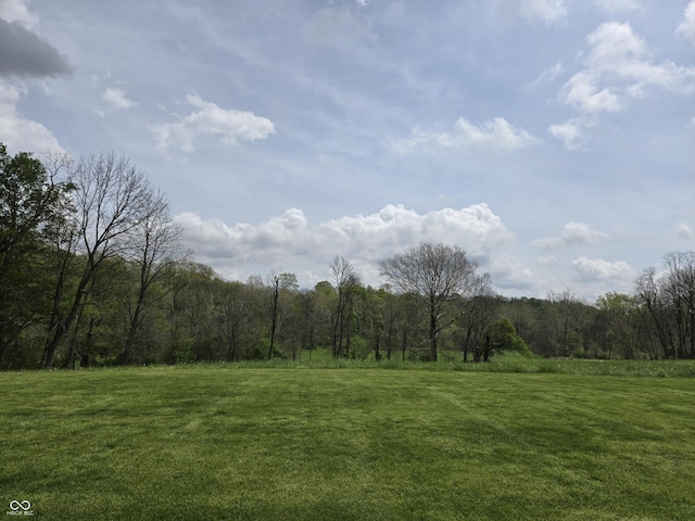 view of woods