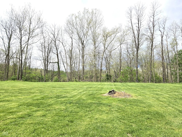 view of green lawn