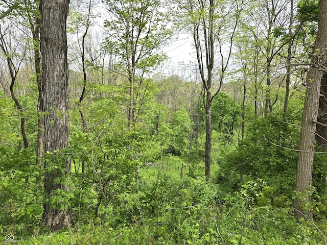 view of wooded area