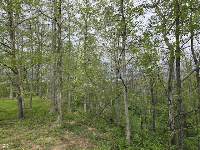view of tree filled area