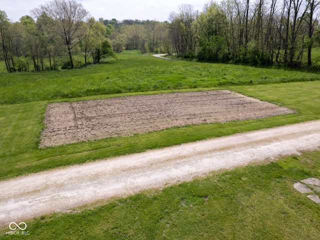 view of community featuring a yard