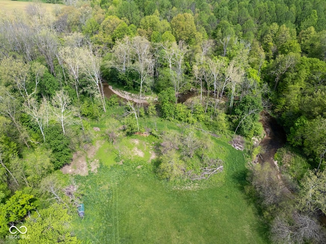 drone / aerial view of a forest