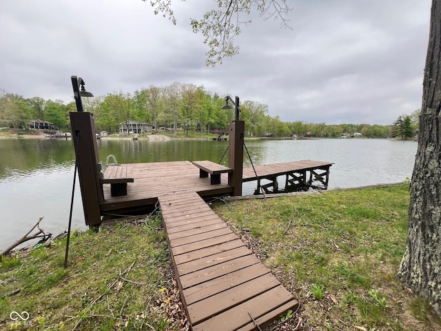 dock area with a water view