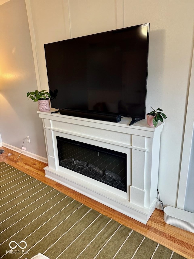 details with a glass covered fireplace, baseboards, and wood finished floors