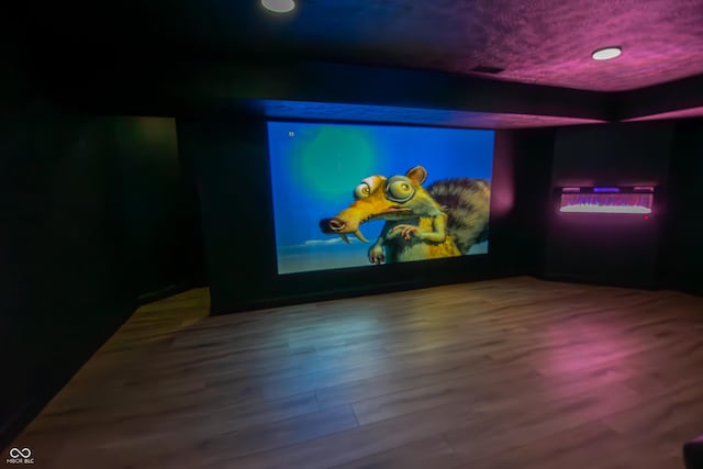 12520 E Stanley Rd, Selma, IN 47383 - cinema featuring wood finished floors