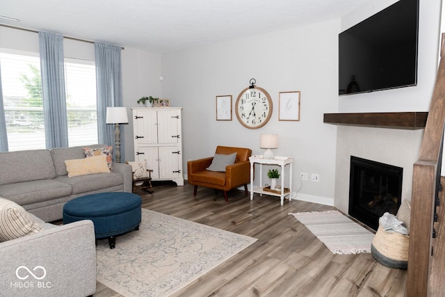9176 Springbrook Dr, Pendleton, IN 46064 - living room featuring wood finished floors, a fireplace, and baseboards