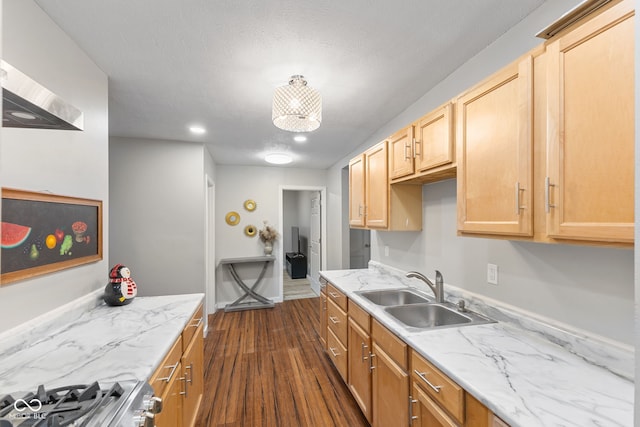 kitchen featuring a sink, light stone counters, stainless steel gas range, light brown cabinets, and dark wood-type flooring