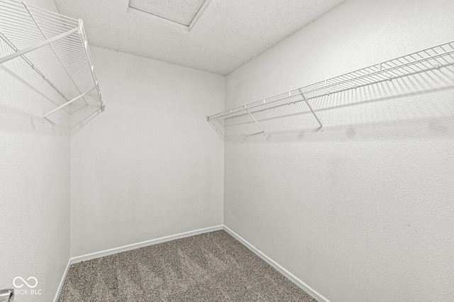 spacious closet featuring carpet floors and attic access