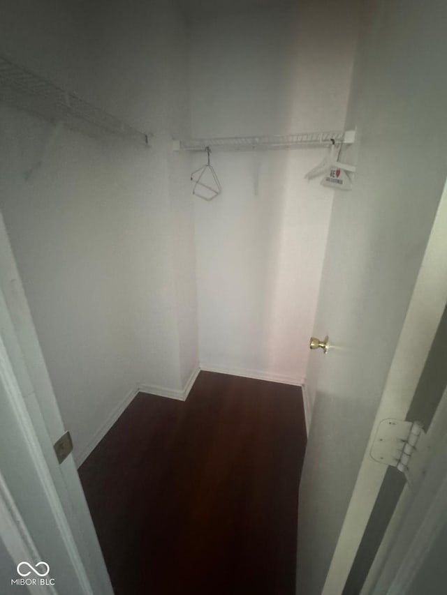 317 Legacy Blvd, Greenwood, IN 46143 - walk in closet featuring dark wood finished floors