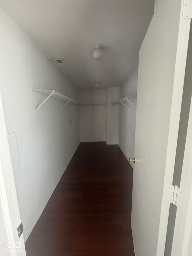 317 Legacy Blvd, Greenwood, IN 46143 - walk in closet featuring visible vents and dark wood-style floors