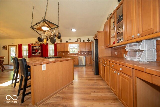 11815 E Pocahontas Dr, Greencastle, IN 46135 - kitchen with tile counters, stainless steel appliances, light wood-style flooring, a sink, and tasteful backsplash