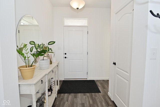 doorway featuring dark wood-style flooring, baseboards, and a wealth of natural light