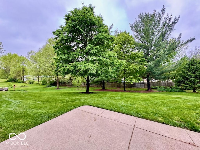 view of yard with a patio