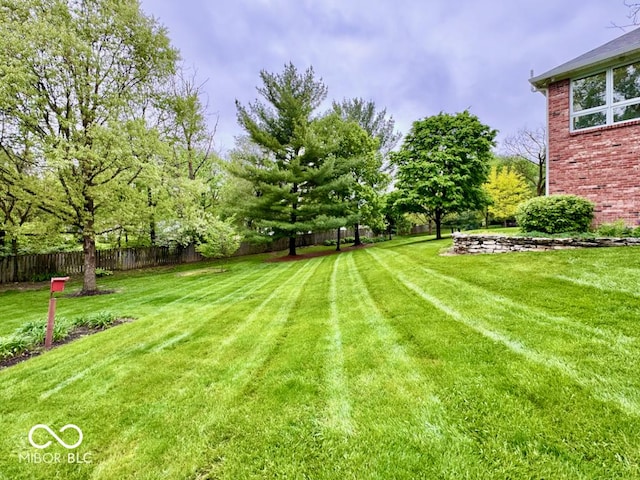 view of yard